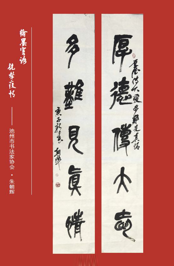 笔墨含深情，书法聚人心——安徽省各市书协在行动(图260)