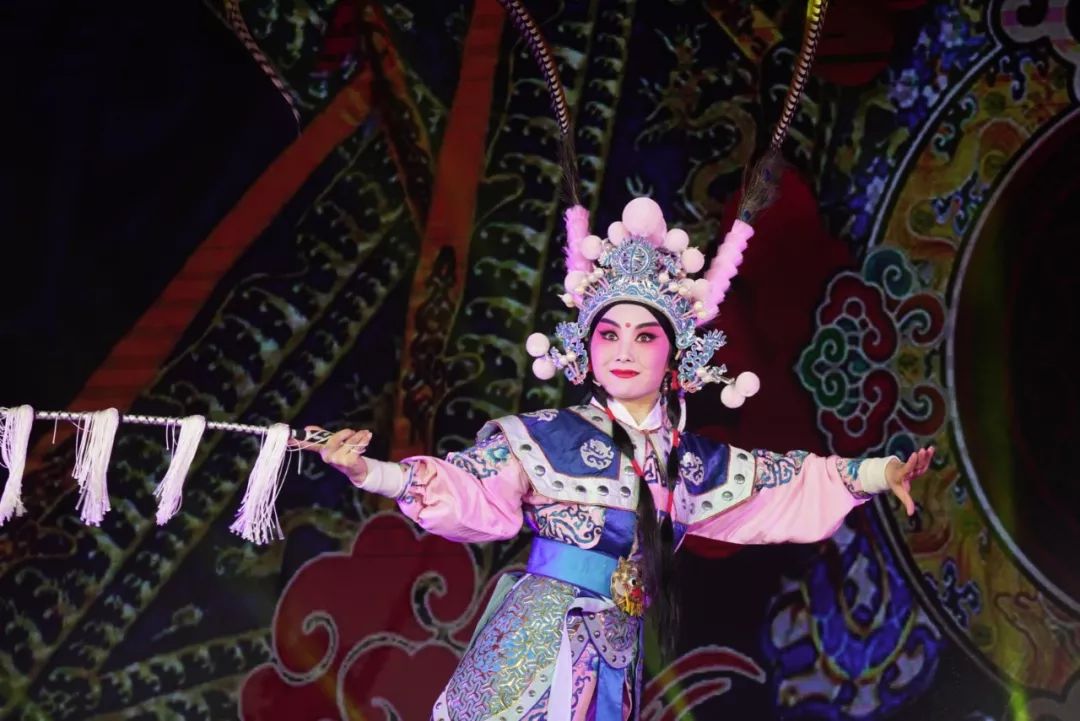 文艺名家进高校--省文联文艺小分队走进池州学院(图29)