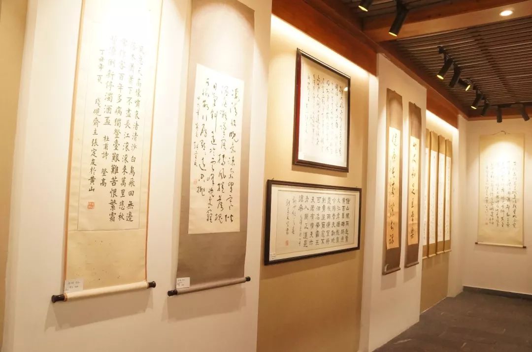 张定友书法艺术研讨会顺利召开(图6)