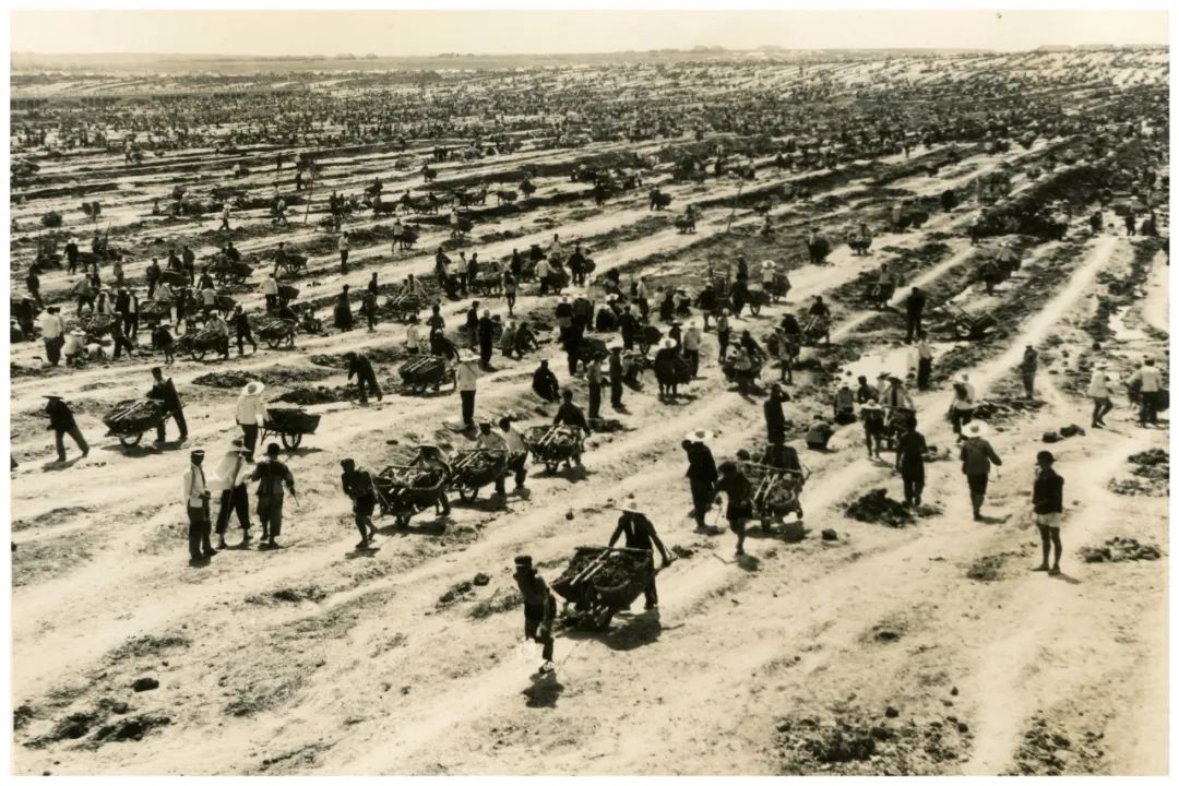 庆祝中国共产党成立100周年| “文艺心向党”——安徽省书法美术摄影作品展在合肥开幕(图45) 图片