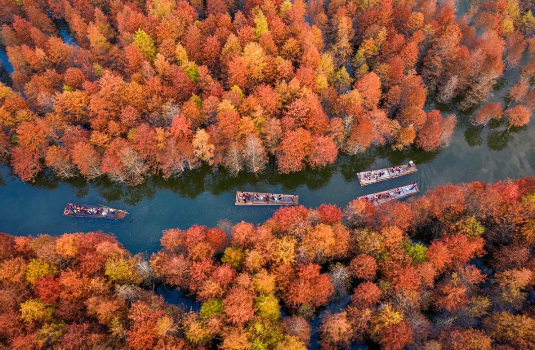 “文艺心向党——安徽省书法美术摄影作品展”上线中华数字艺术城(图37) 图片