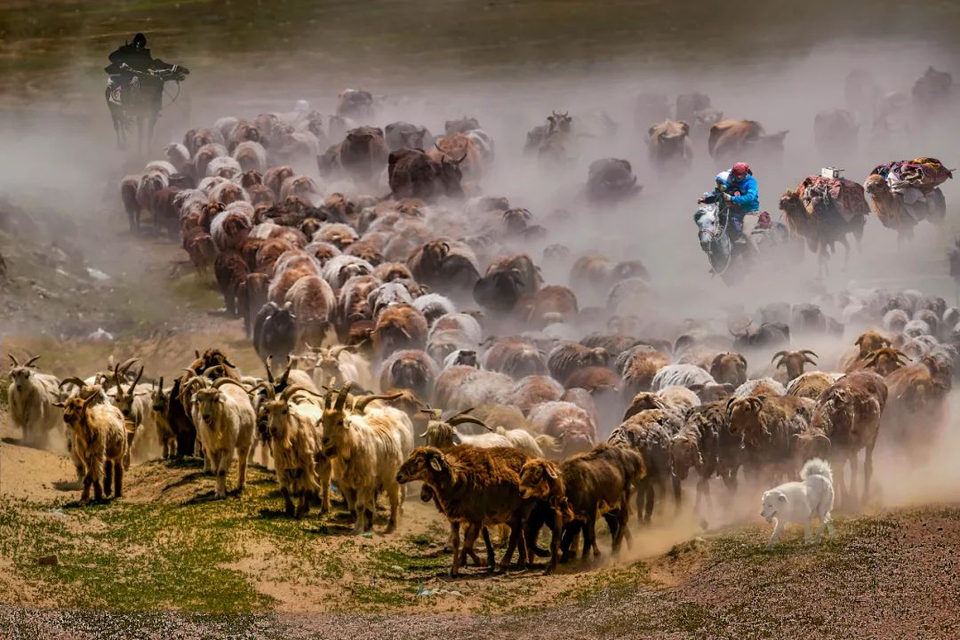 “庆祝建党一百周年 百家艺术档案展览” 在合肥开幕(图44) 图片