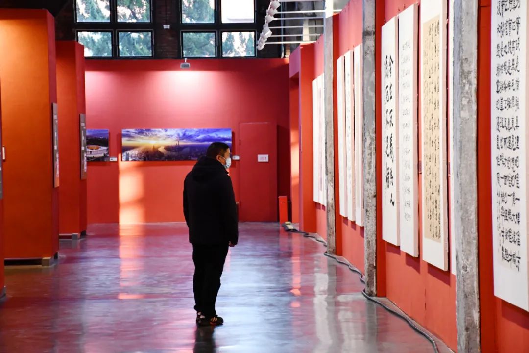 长三角文艺发展联盟美术·书法·摄影作品展在合肥开幕(图15) 图片