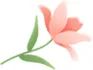 “巾帼心向党 喜迎二十大”——安徽省首届巾帼美术书法作品展在合肥开幕(图28) 图片
